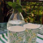 Lemon Balm Syrup